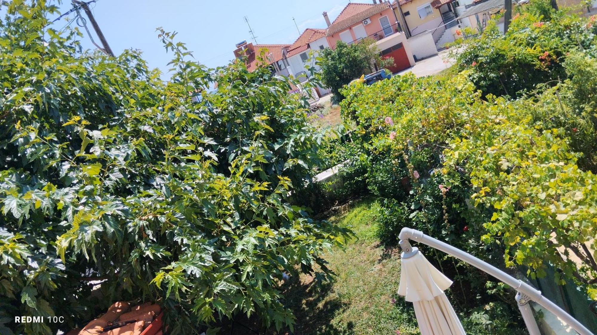 Holiday Home In Chalkidiki, Lakkoma Lákkoma Exterior foto